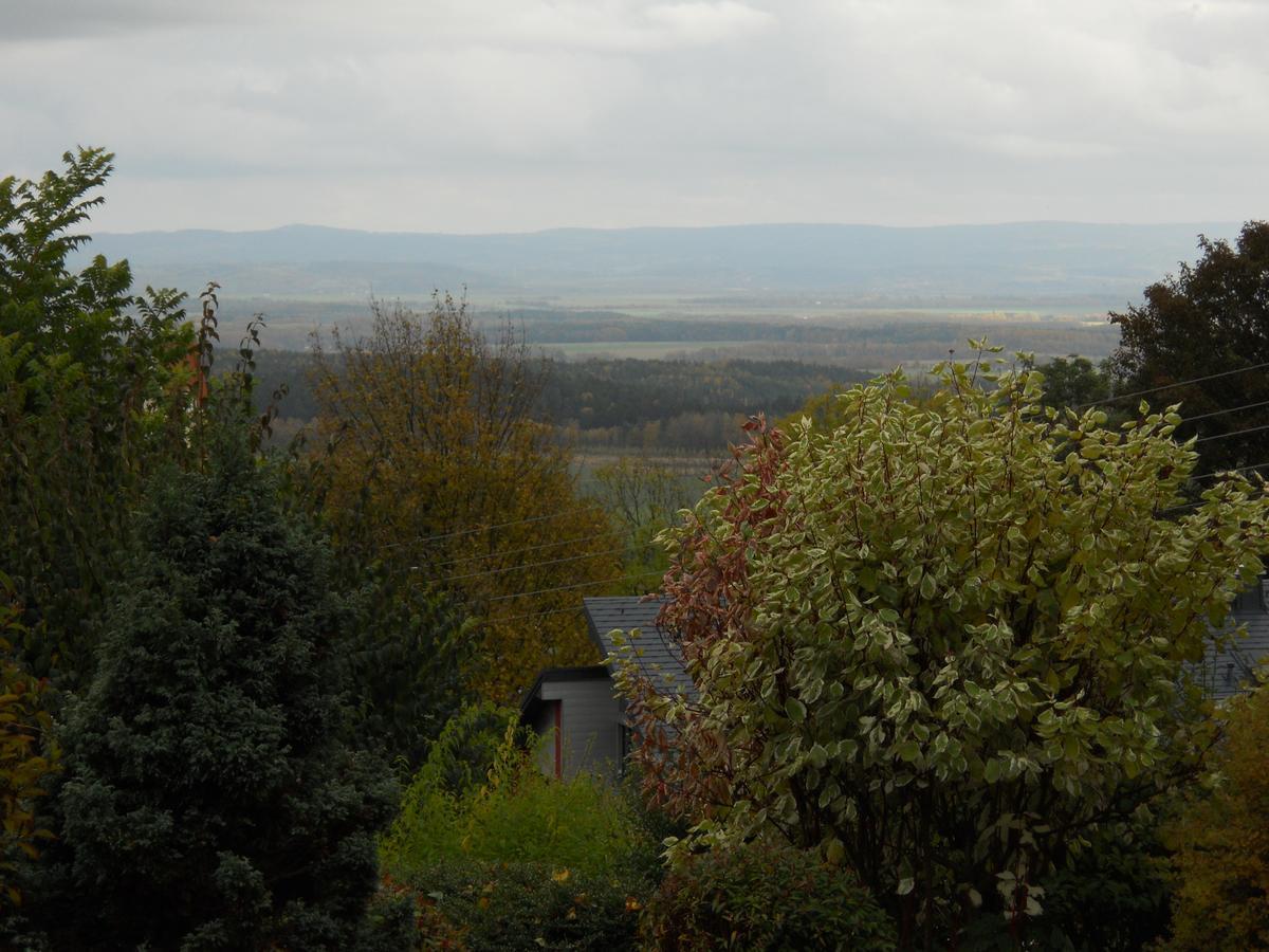 Hotel Garni Schloss Schoenberg Bad Brambach Luaran gambar
